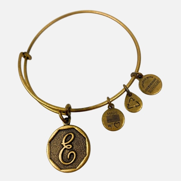 Alex and Ani E Charm Bracelet Rafaelian Gold Finish Bangle - OS Expandable - Picture 1 of 10